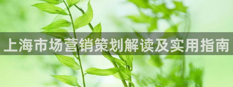 必赢官网入口下载安装