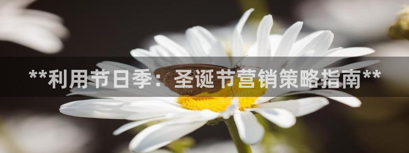 必赢棋盘9965.0版本