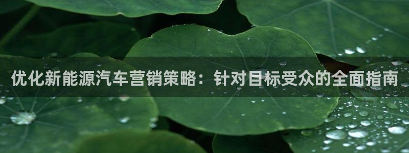 必赢这个软件怎么样