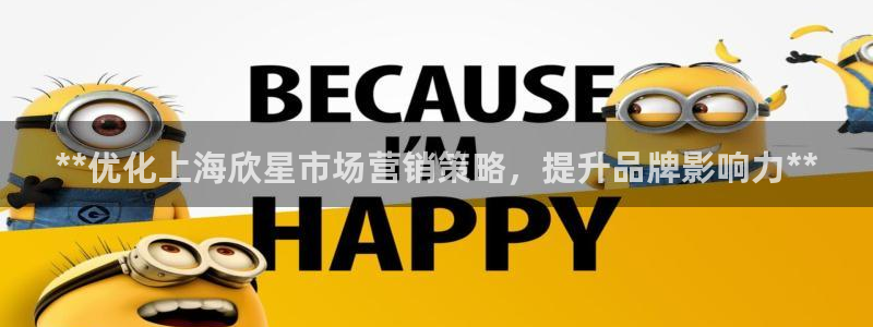 必赢科技有限公司