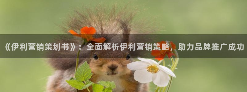 必赢线上网址