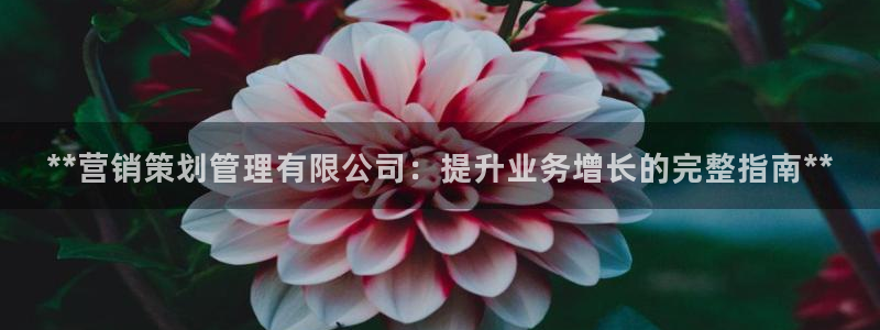 必赢3003必赢贵族宾会