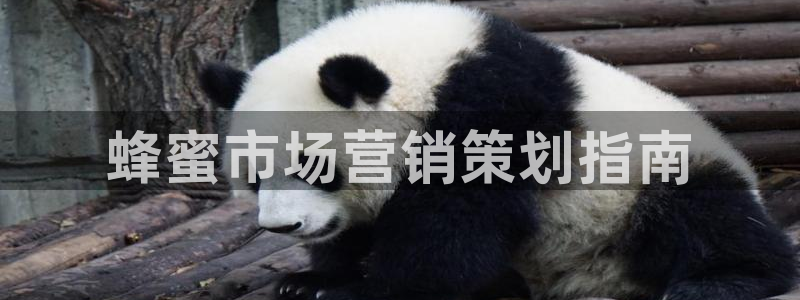 必赢官网网站首页入口