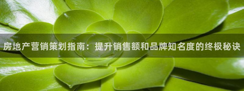 必赢首页：房地产营销策划指南：