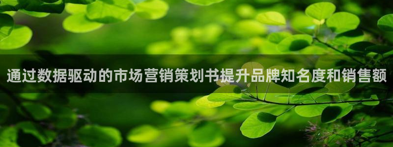 必赢国际是什么