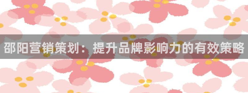 必赢网址手机主页打不开：邵阳营