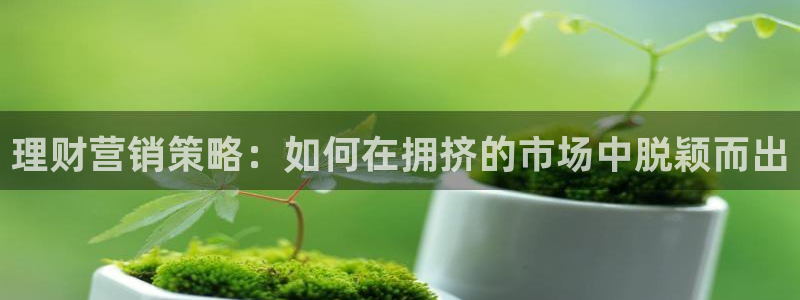 必赢这个软件怎么样啊：理财营销