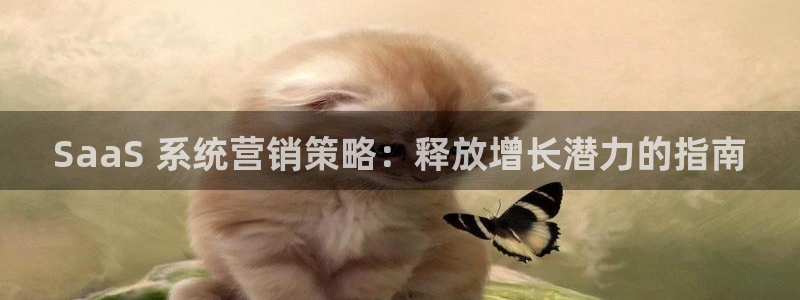 必赢线上网址：SaaS 系统营