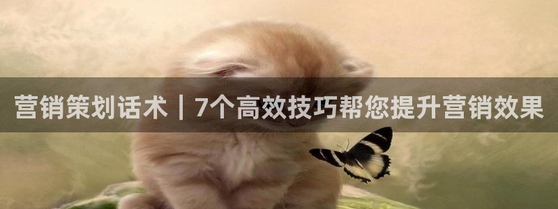 必赢国际437