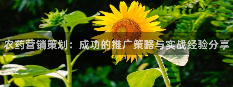 必赢手机app下载最新版本安装