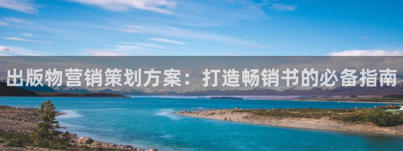 必赢网站是哪一个：出版物营销策