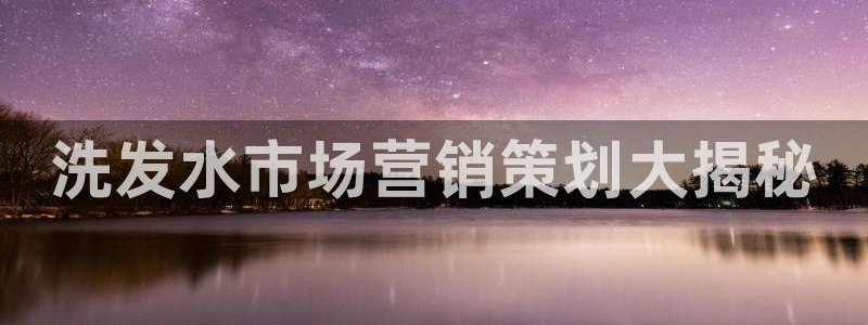 必赢网站打不开：洗发水市场营销