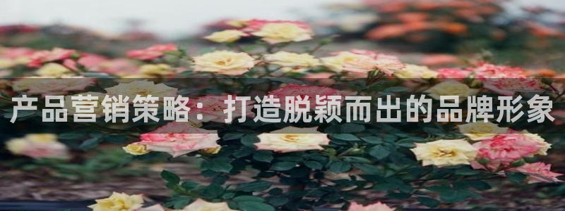 必赢亚赢网站官网下载手机版安卓