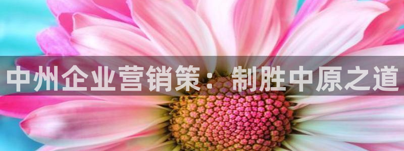 必赢官网app下载安装苹果版